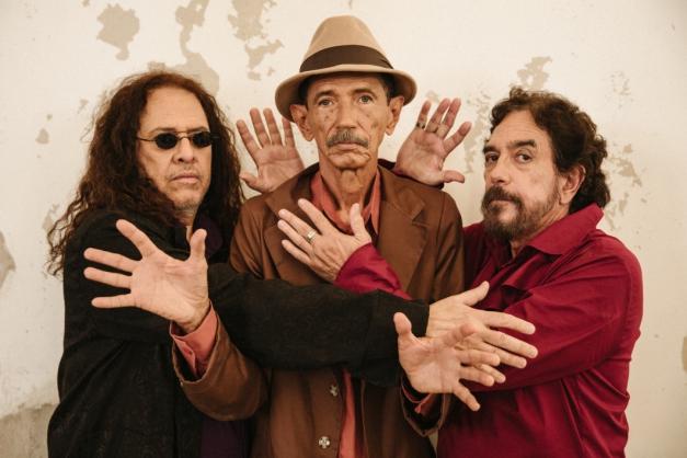 Macaque in the trees