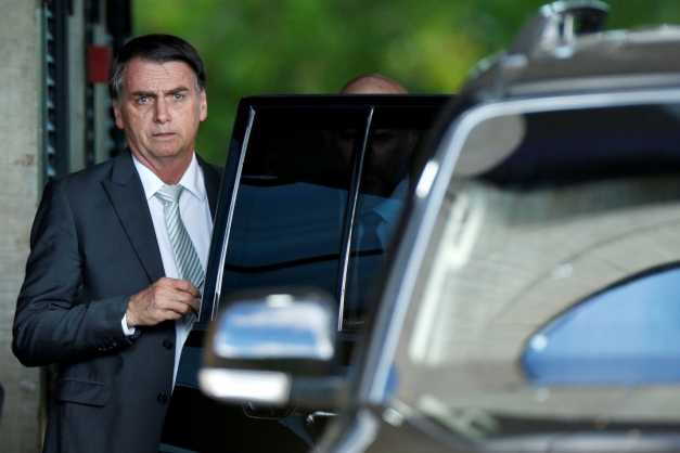 Macaque in the trees