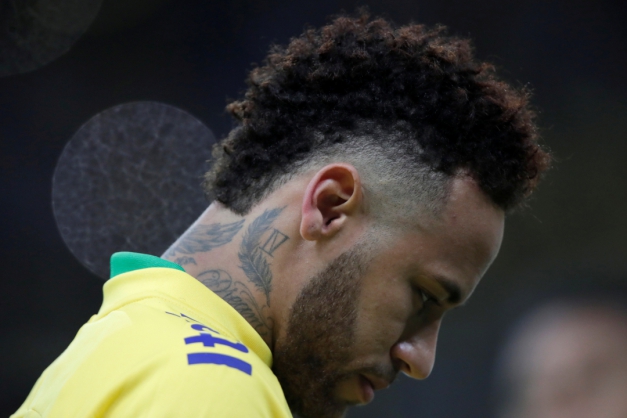 Macaque in the trees