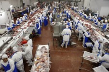 Processamento de carne em frigor&iacute;fico de Promiss&atilde;o (SP)