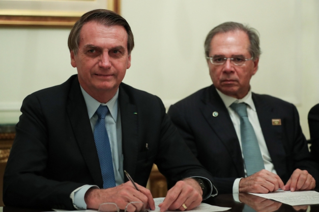 Macaque in the trees