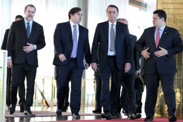 Macaque in the trees