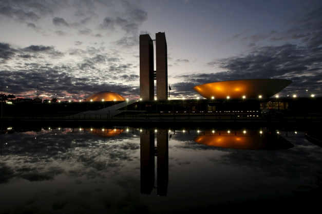 Macaque in the trees