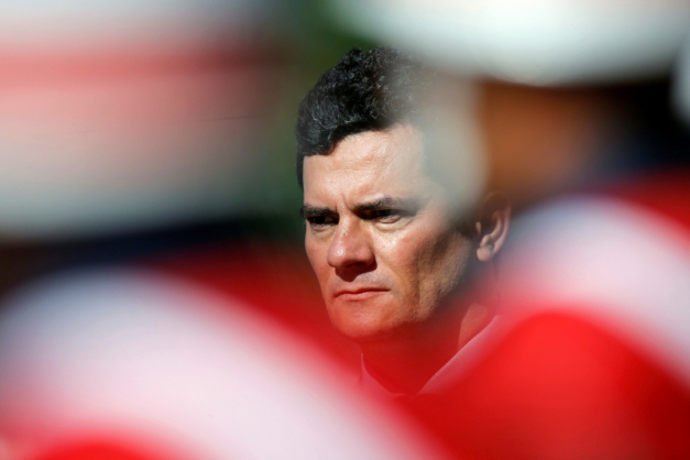 Macaque in the trees