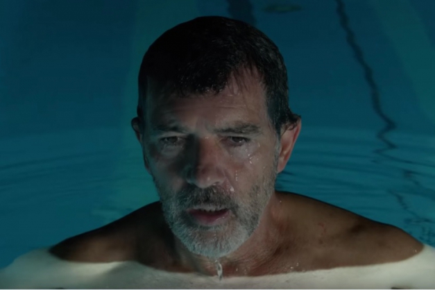 Macaque in the trees