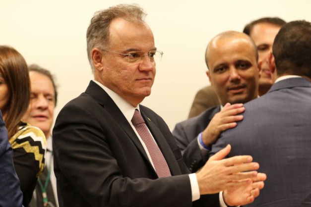 Macaque in the trees