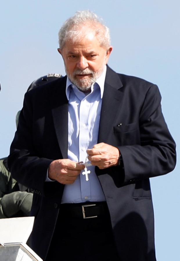 Macaque in the trees