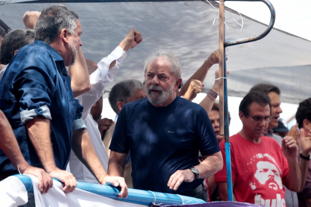 Macaque in the trees
