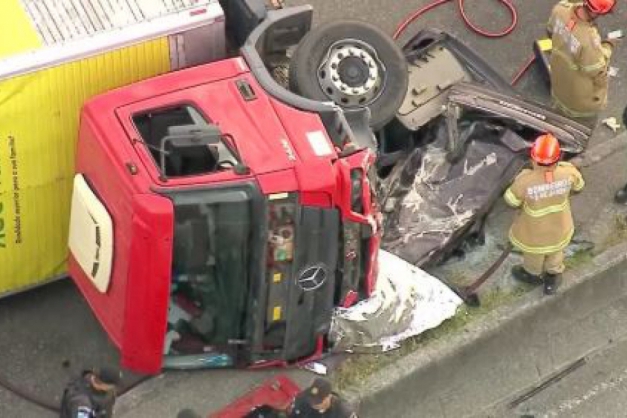 Macaque in the trees