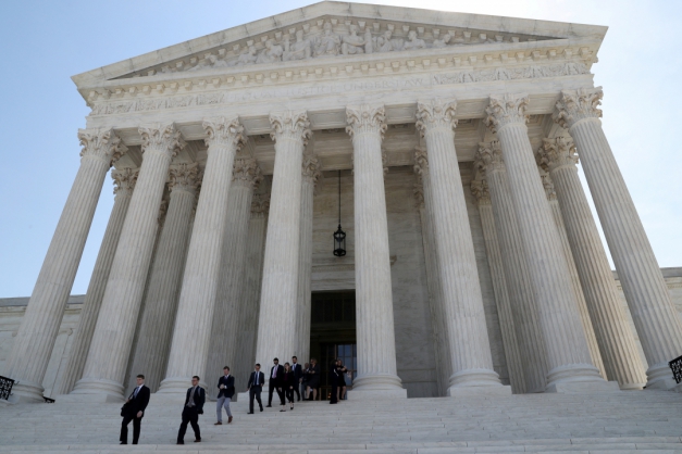 Macaque in the trees