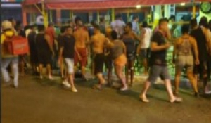 Macaque in the trees