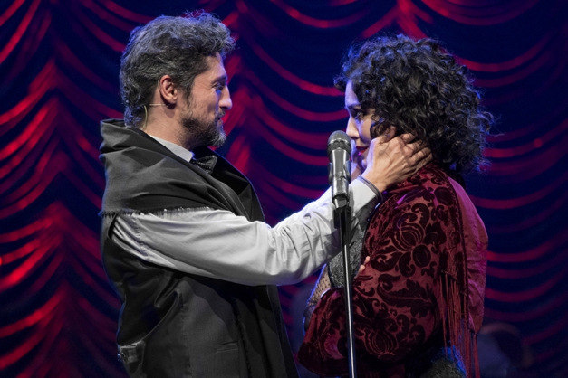 Macaque in the trees