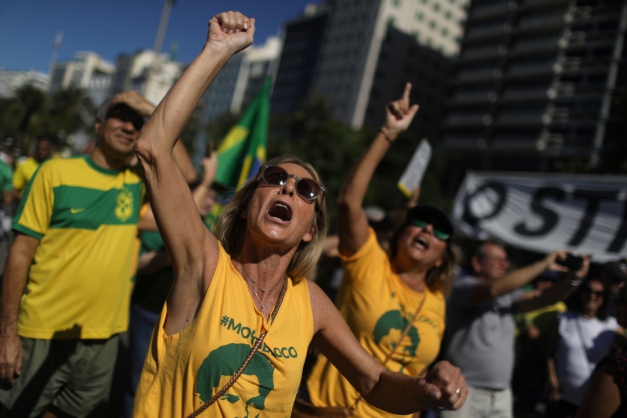 Macaque in the trees