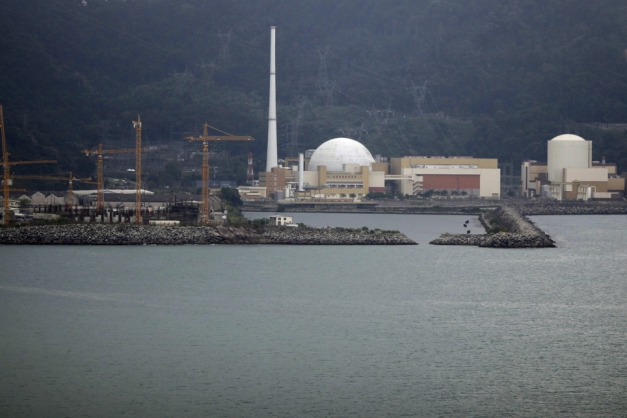 Macaque in the trees