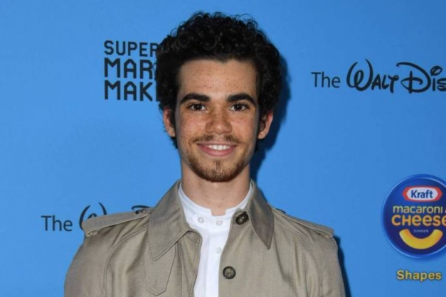 Macaque in the trees