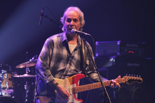 Macaque in the trees