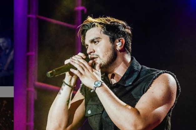 Macaque in the trees