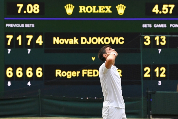 Macaque in the trees