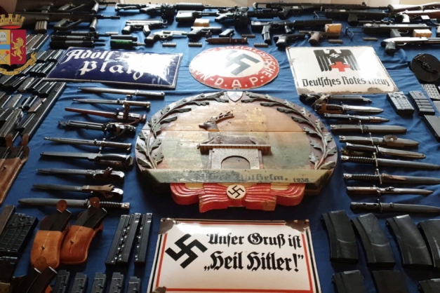 Macaque in the trees