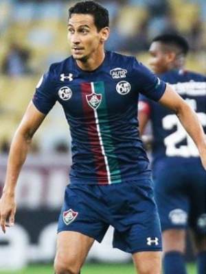 Macaque in the trees