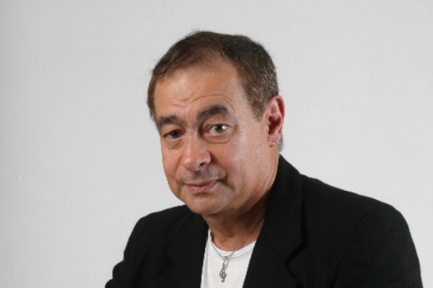 Macaque in the trees