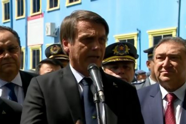 Bolsonaro Macaque in the trees