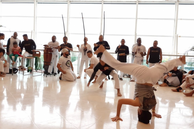 Macaque in the trees