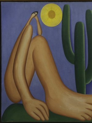 Macaque in the trees