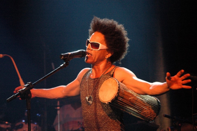 Macaque in the trees