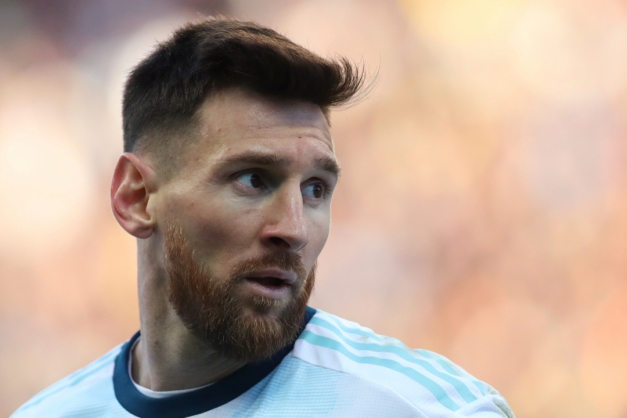 Macaque in the trees