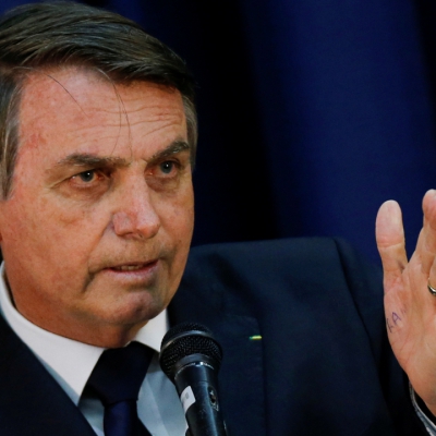 Macaque in the trees