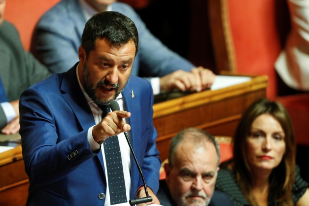 Macaque in the trees