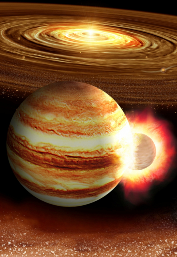 Macaque in the trees