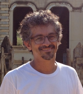 Macaque in the trees