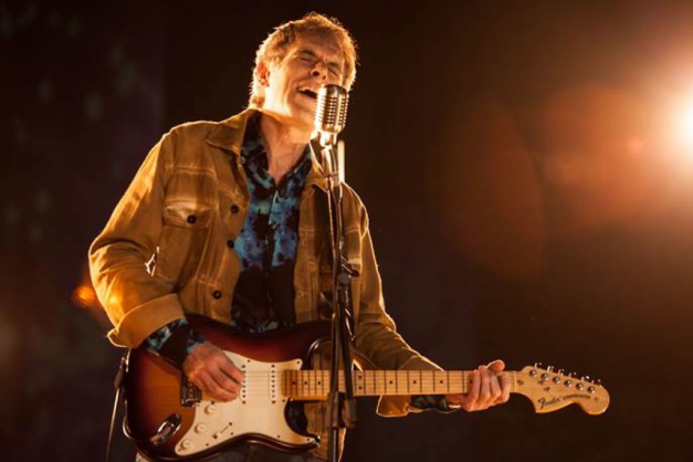 Macaque in the trees