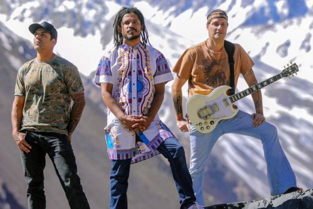 Macaque in the trees