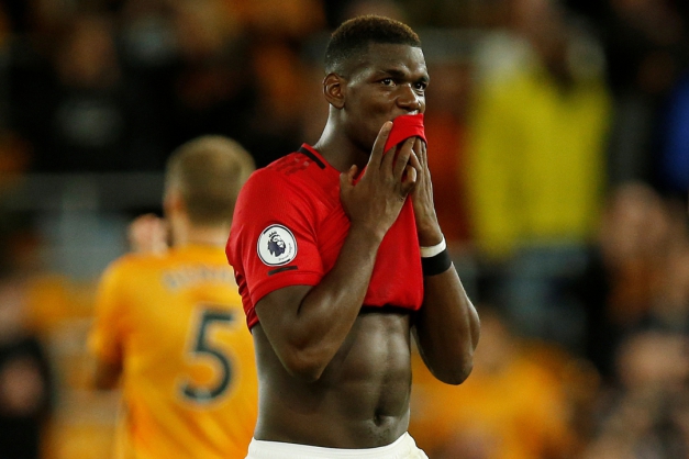 Macaque in the trees