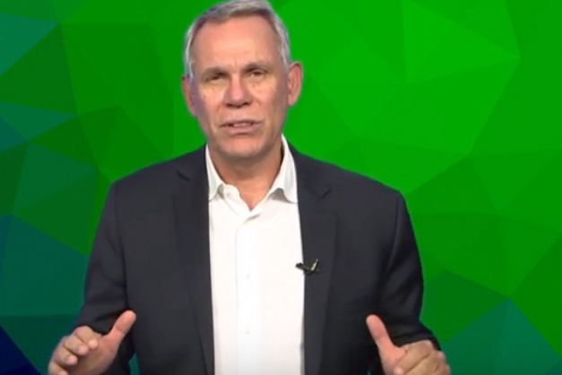 Macaque in the trees