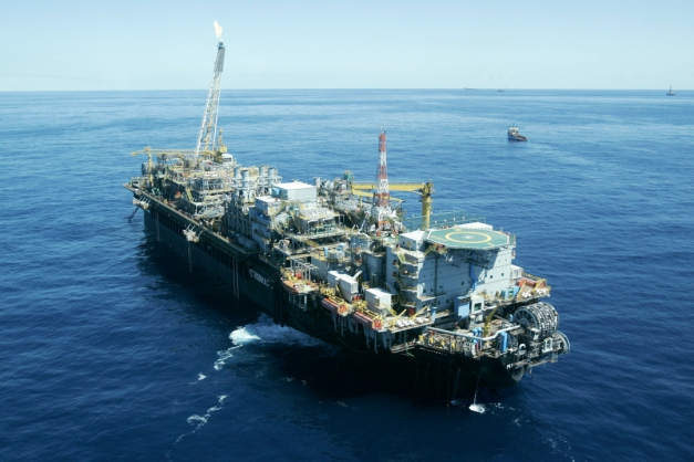 Macaque in the trees