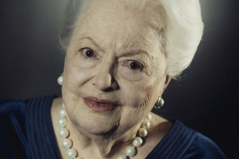 Macaque in the trees