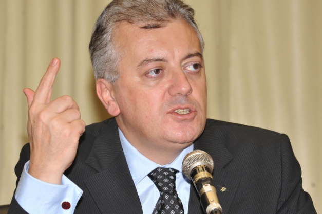 Macaque in the trees