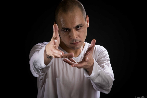 Macaque in the trees