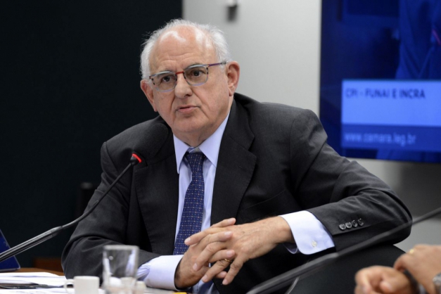 Macaque in the trees