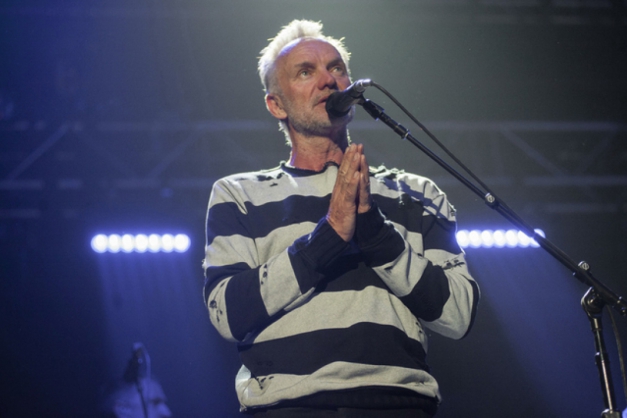 Macaque in the trees