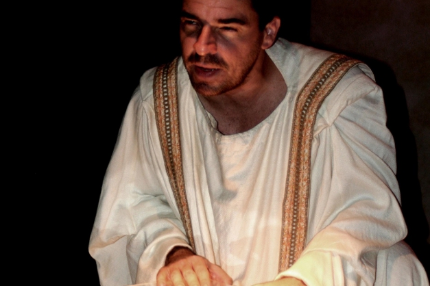 Macaque in the trees