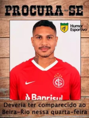 Macaque in the trees