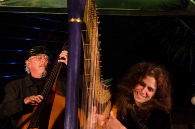 Macaque in the trees