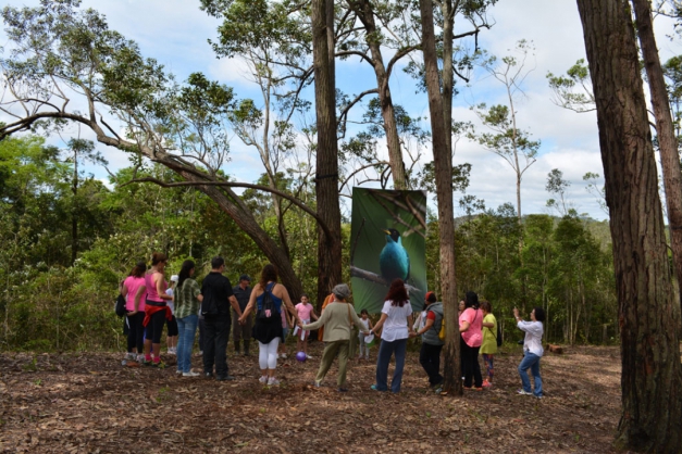 Macaque in the trees