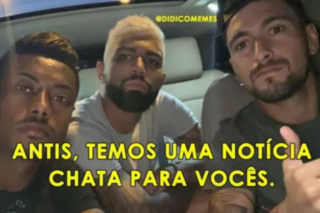 Macaque in the trees