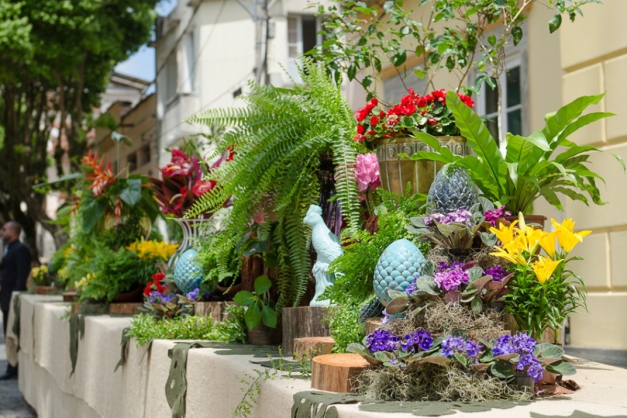 Macaque in the trees